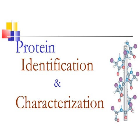 Protein identication characterization