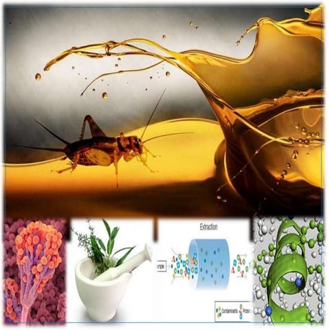 Protein isolation and quantification