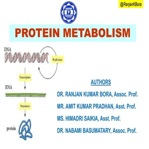 Protein metabolism | PPT