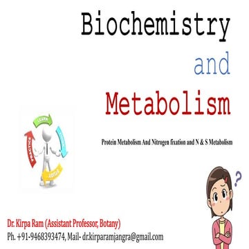 Protein metabolism and nitrogen fixation and  metabolism