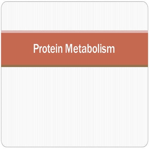 Protein Metabolism new.pdf
