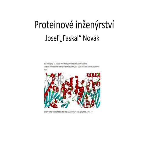 Proteinové inženýrství (Josef "Faskal" Novák)