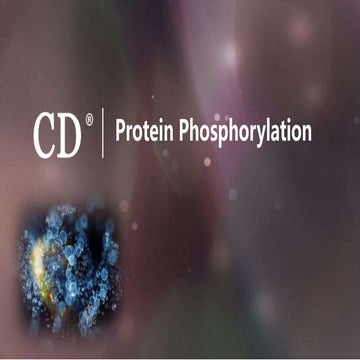 Protein phosphorylation-Creative Diagnostics