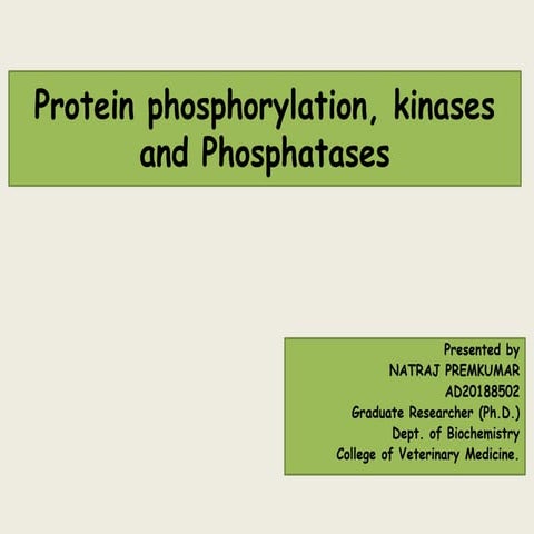 Protein phosphorylation, kinases and phosphatases