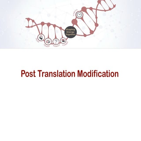 Post translational modification | PPTX
