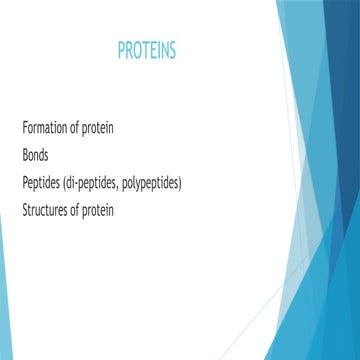 protein presentationgkjcdtyjjj xdfgggg.pptx