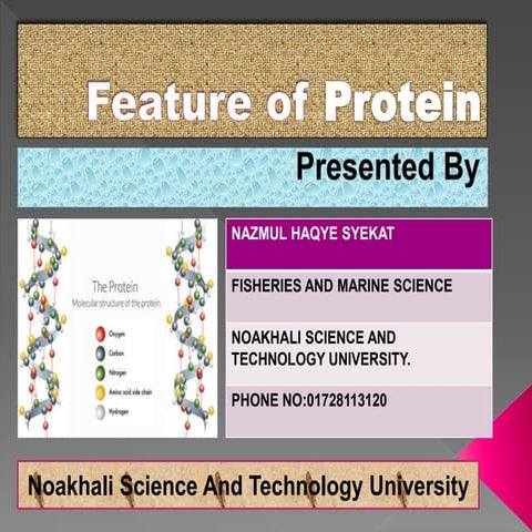 Protein Classification & Features By Syekat