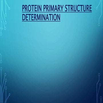 Protein primary structure determination