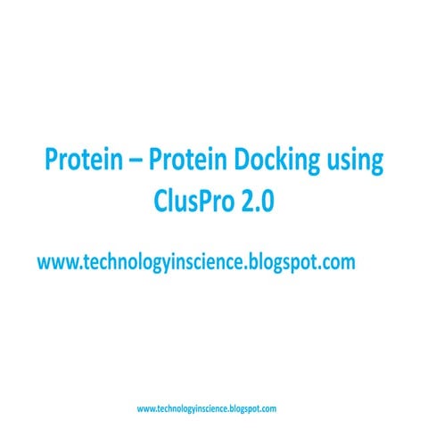 Protein – protein docking using
