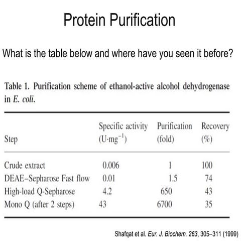Protein Purification Lecture