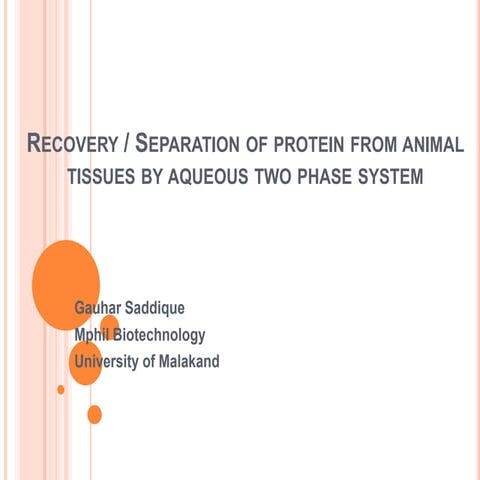 Recovery of  protein from animal tissues by aqueous two phase system