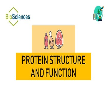 Proteins 1 Pptx