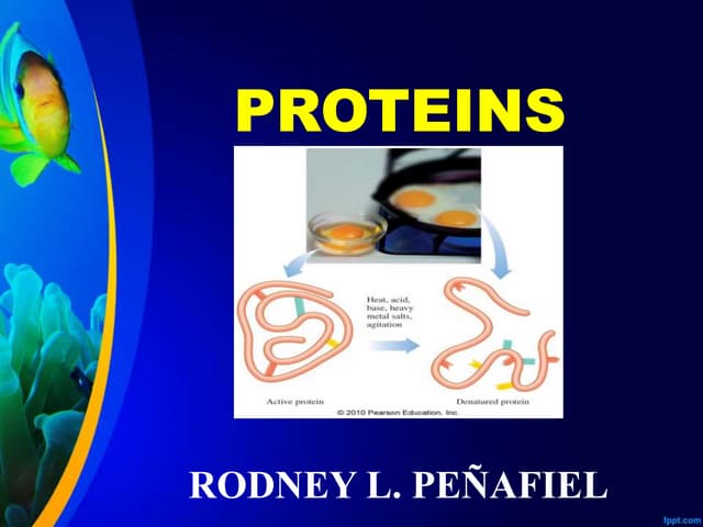 Protein Unit 3 Pptx Bsc Nursing 2nd Semester Pptx