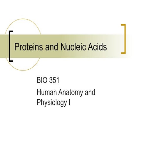 Proteins and nucleic acids 2014 | PPT