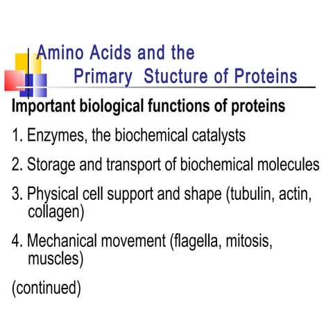 Proteins basics