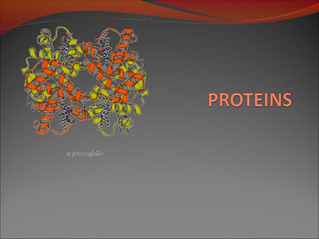 Proteins (2)