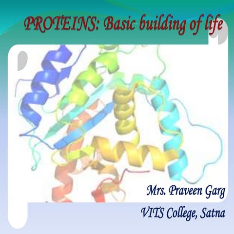 Proteins (2)