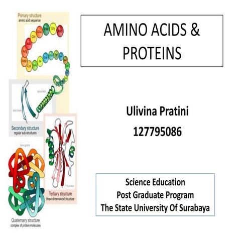 Proteins & amino acids (ulivina pratini)