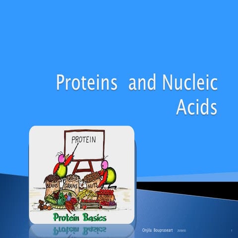 Proteins and nucleic acids | PPT
