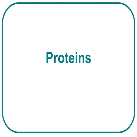 Proteins biochem