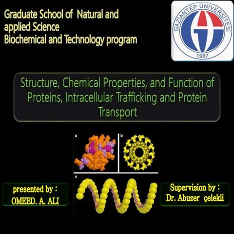 Structure, Chemical Properties, and Function of Proteins, Intracellular Traff...
