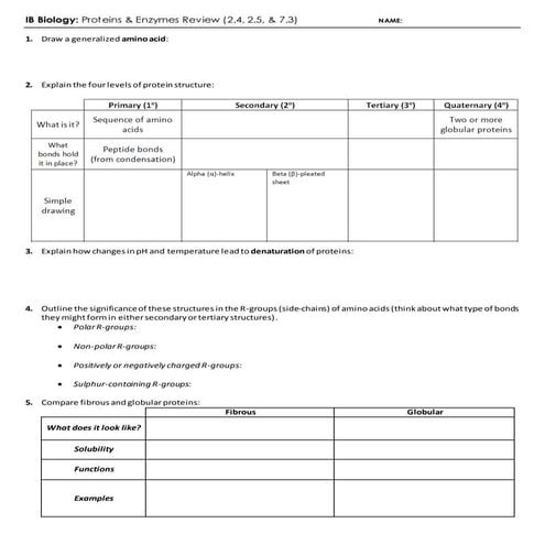 IB Proteins & Enzymes Review (2.4-2.5-7.3)