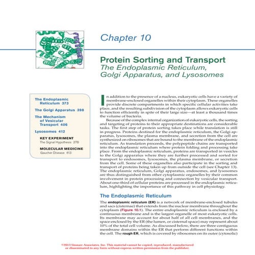Protein sorting and transport 