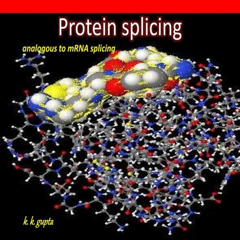 Protein splicing