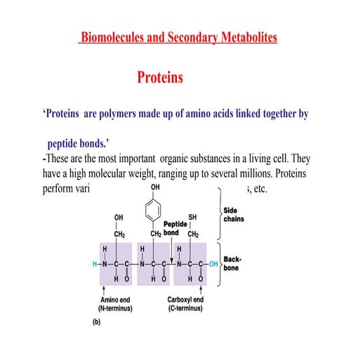 Proteins ppt.pptxhhhhhhhhhhhhhhhhhptttttttttt