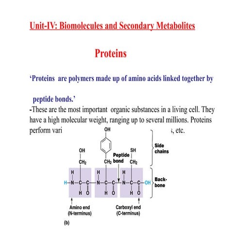 Proteins ppt.pptx..presentation related to protein structure