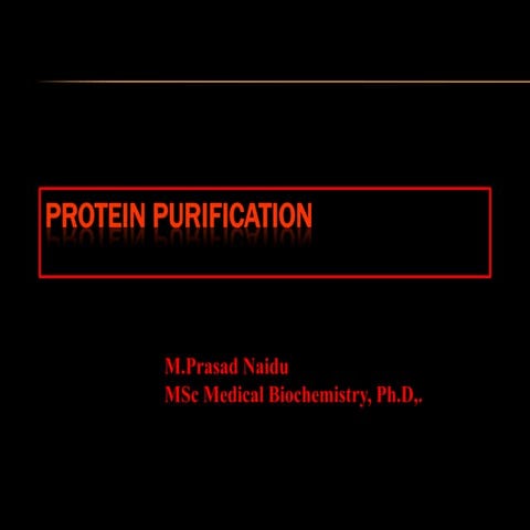 Proteins purification