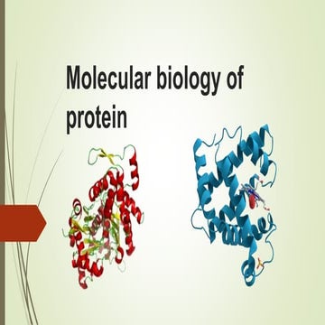 Protein stability