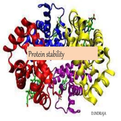 Protein stability(molecular biology)