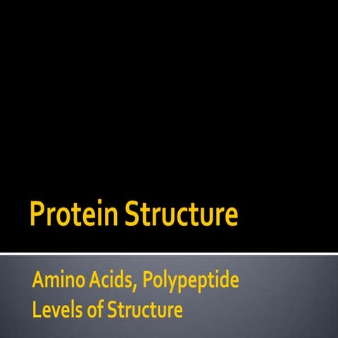 Protein structure