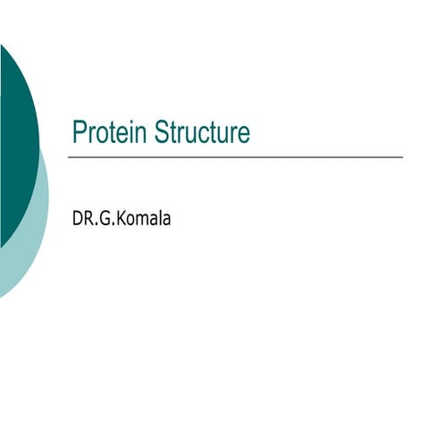 Protein structure levels | PPT
