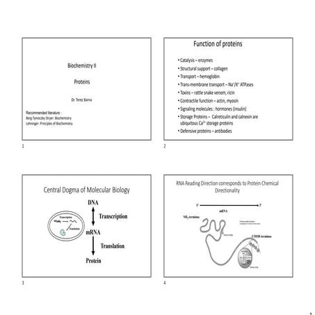 Protein_structure_2022.pdf