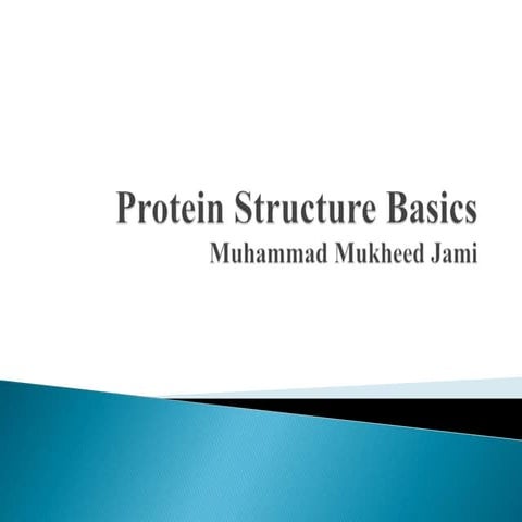 Protein structure basics