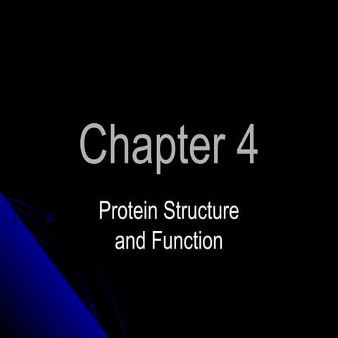 Protein structure &amp; function
