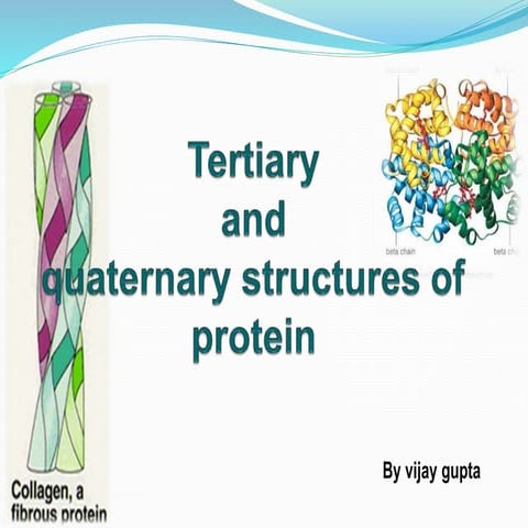 Protein structures by anivjeh | PPT