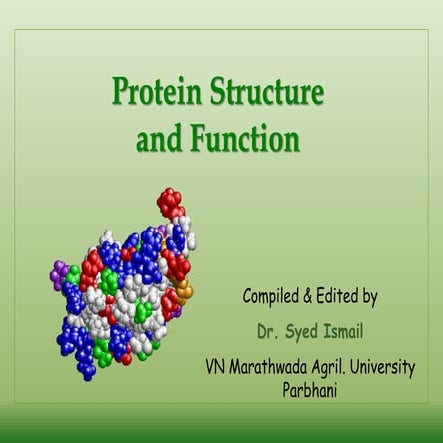 Protein sturucture