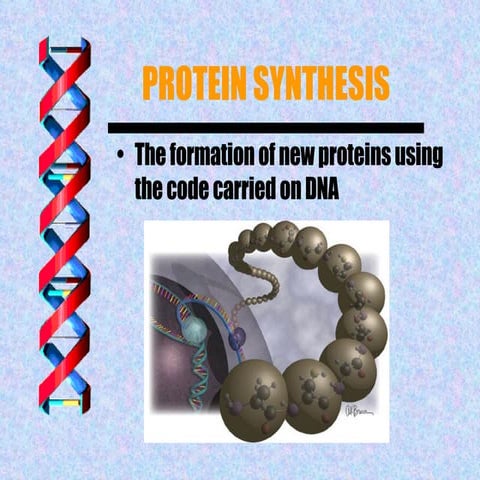 Protein Syntheis