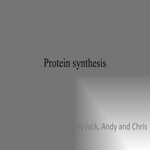 Protein Synthesis