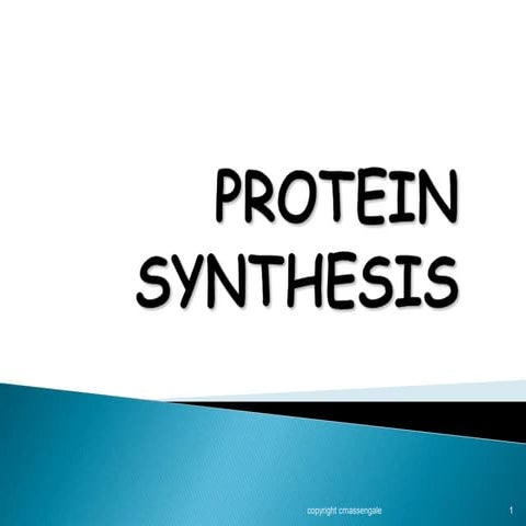 Protein synthesis