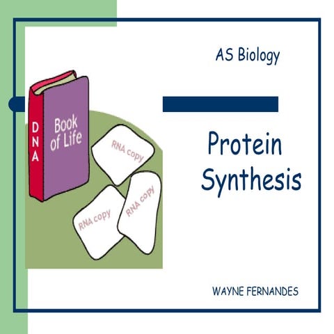 Protein synthesis