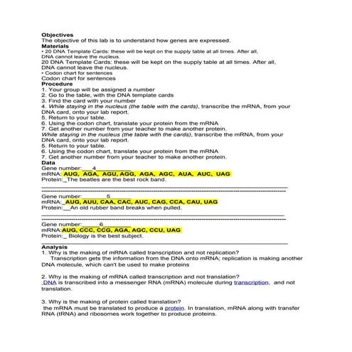 Protein synthesis lab 