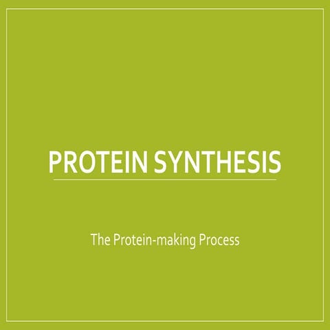 The Process of Protein Synthesis ppt.pptx