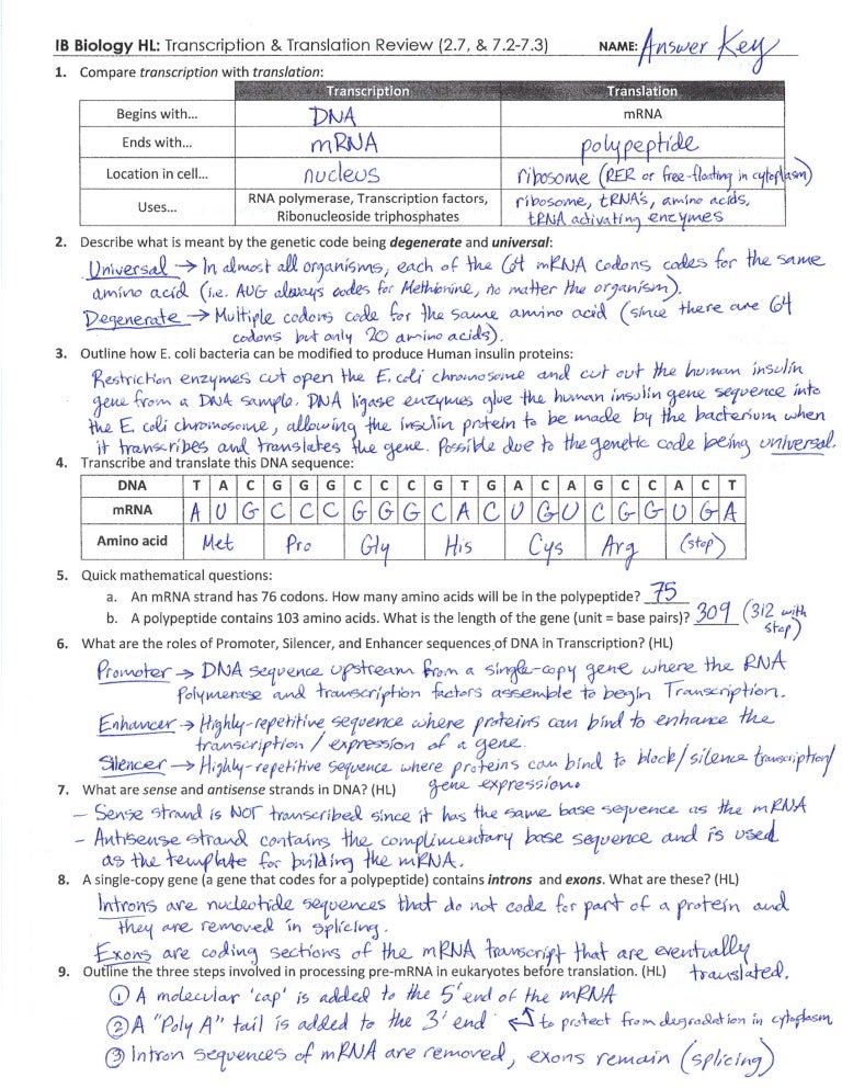 Protein synthesis worksheet answers part a