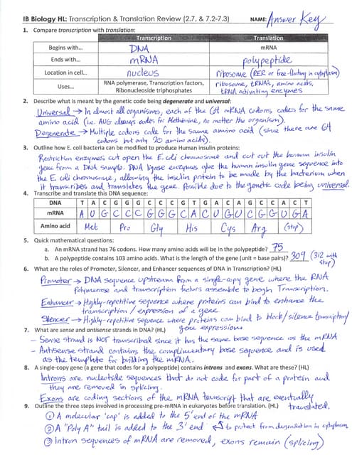 Worksheets Protein Synthesis Worksheet Answer Key collection of protein synthesis worksheet answer key sharebrowse ib review 2 7 3
