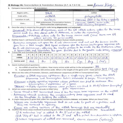 IB Protein Synthesis Review Key (2.7-7.2-7.3)