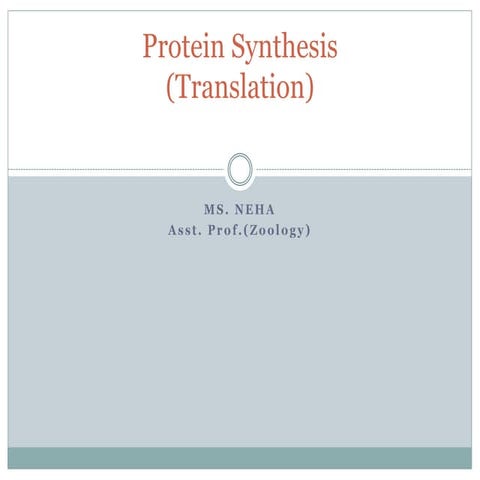 Protein synthesis(translation)